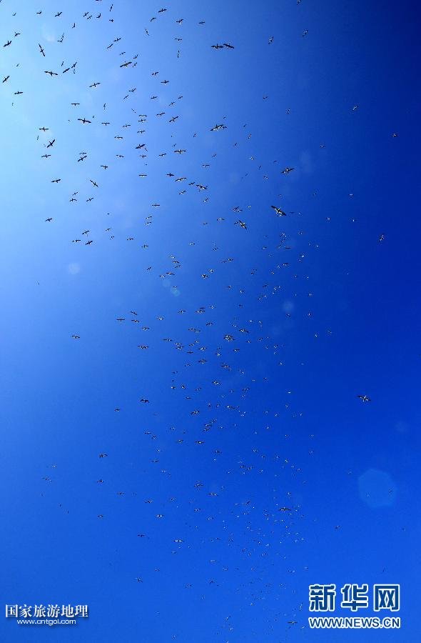 （國際·關(guān)注文化遺產(chǎn)）（11）聖基爾達(dá)島：被遺棄的文明